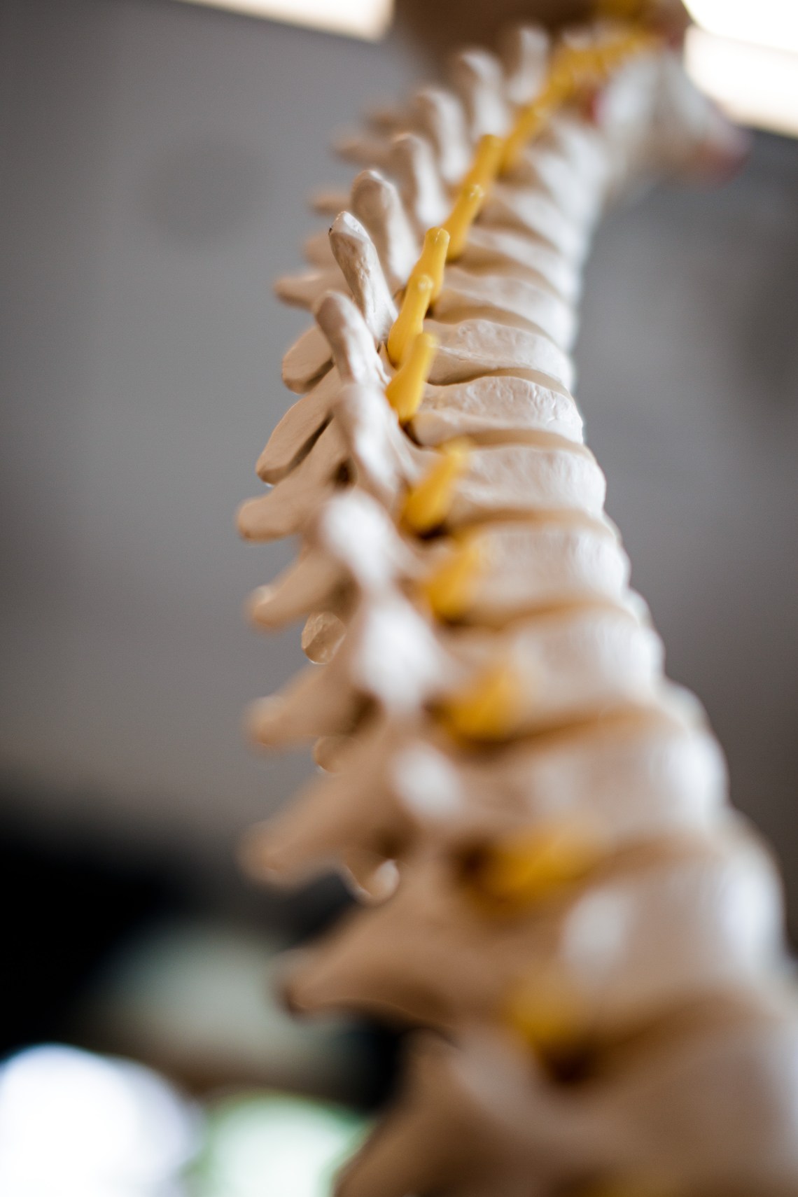 39-Vertical-Chiropractic-Images-FULL